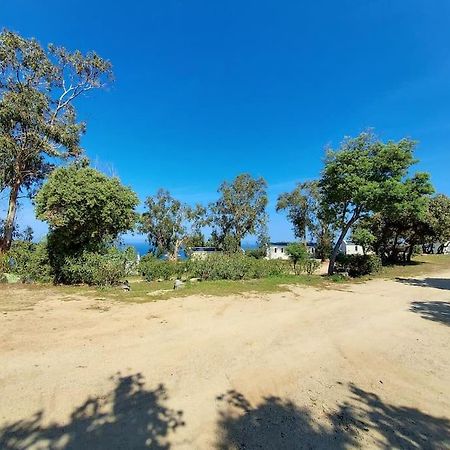 Calvi Mobil-Home Neuf Particulier Sur Camping Lumio (Corsica) Exterior foto