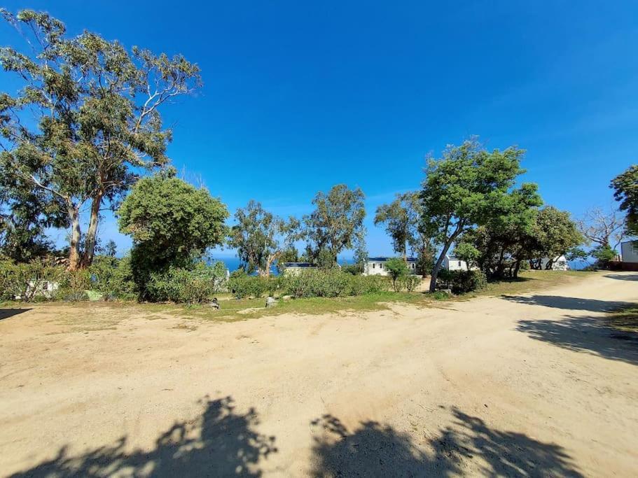 Calvi Mobil-Home Neuf Particulier Sur Camping Lumio (Corsica) Exterior foto